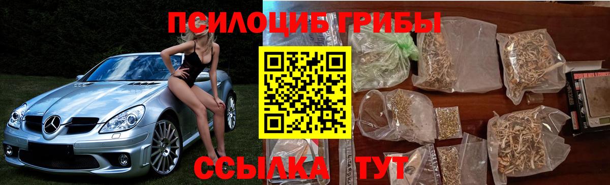 Псилоцибиновые грибы ЛСД Балашов