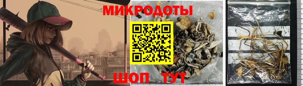 Балашов  Псилоцибиновые грибы Psilocybine cubensis  Вход с VPN 